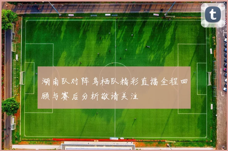 湖南队对阵鸟栖队精彩直播全程回顾与赛后分析敬请关注